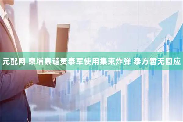 元配网 柬埔寨谴责泰军使用集束炸弹 泰方暂无回应