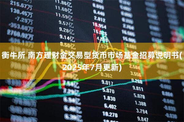 衡牛所 南方理财金交易型货币市场基金招募说明书(2025年7月更新)
